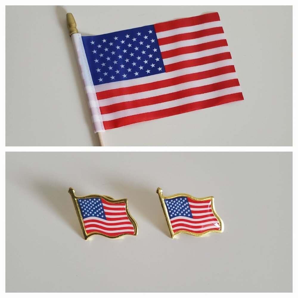 (NEW) Mini American Flag and Pins